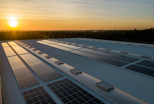 Engineer Solar Panel Inspection