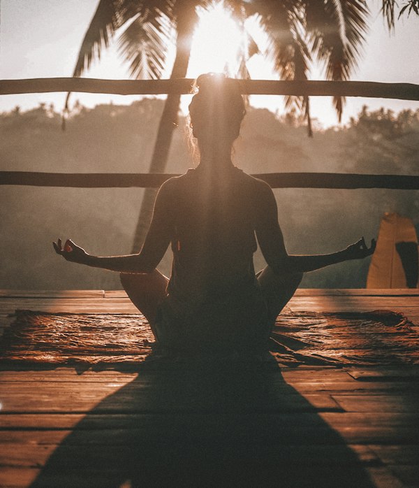 Wellness
