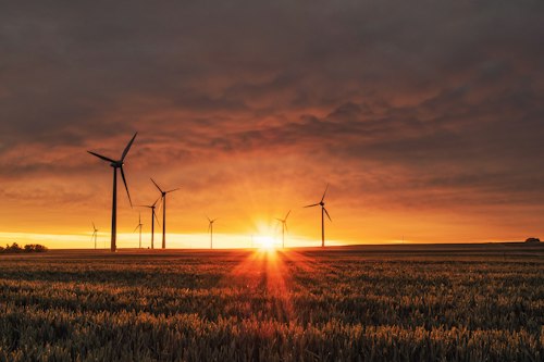 Zenith Renewable Array